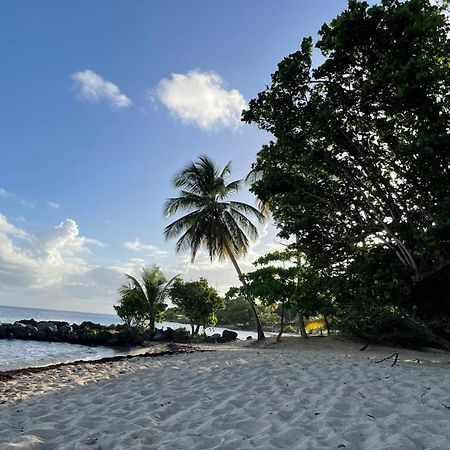 Villa Caraibes Sainte-Luce Exterior photo